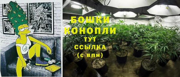 ПСИЛОЦИБИНОВЫЕ ГРИБЫ Верхнеуральск